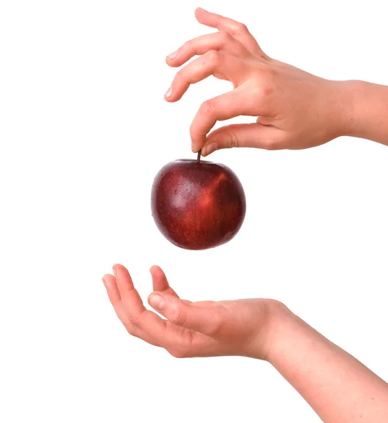 Dziewczyna w ręce z jabłkiem — Zdjęcie stockowe