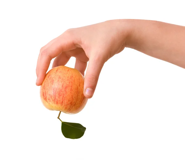 Flickans hand med äpple — Stockfoto