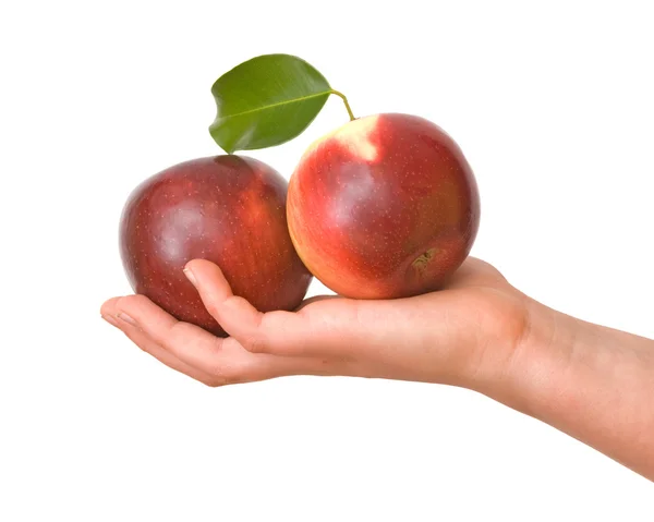 Flickans hand med två äpplen — Stockfoto