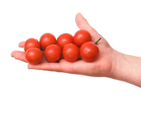 Kiraz tomates ile el — Stok fotoğraf