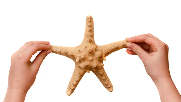 Mãos de menina segurando estrela do mar — Fotografia de Stock
