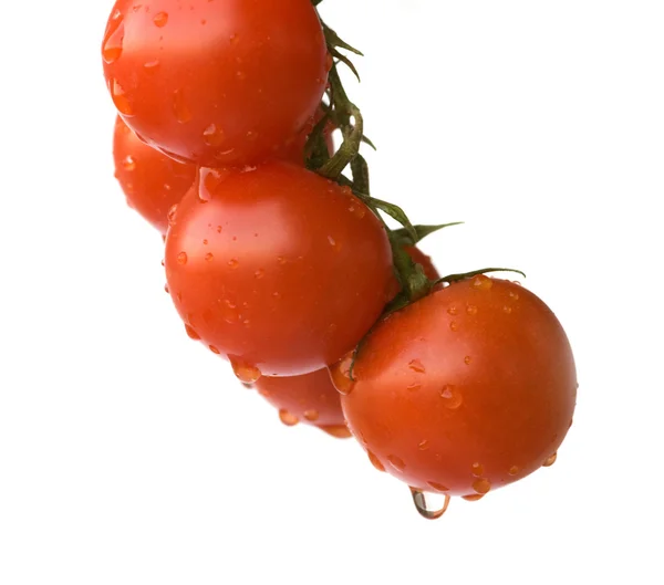 Zbliżenie oddziału pomidorkami — Zdjęcie stockowe