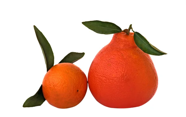 Μανταρίνι και πορτοκάλι — Φωτογραφία Αρχείου