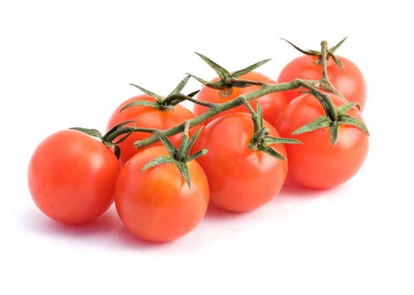 Closeup of branch of tomatoes — Stock Photo, Image