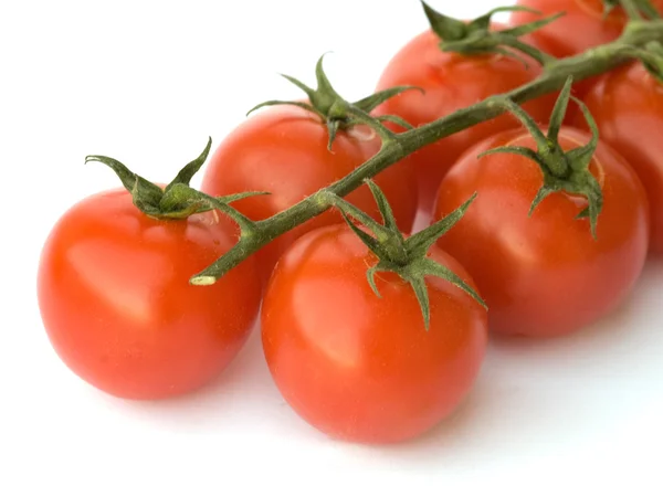 Closeup of branch of cherry tomatoes — Stock Photo, Image