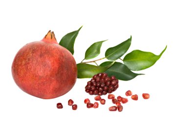 Pomegranate and arils clipart