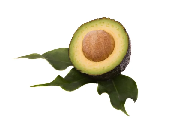 Sectie van avocado — Stockfoto