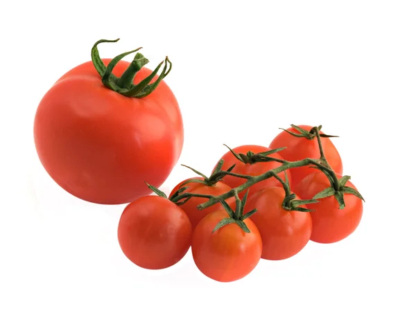 Große Tomate und Zweig — Stockfoto