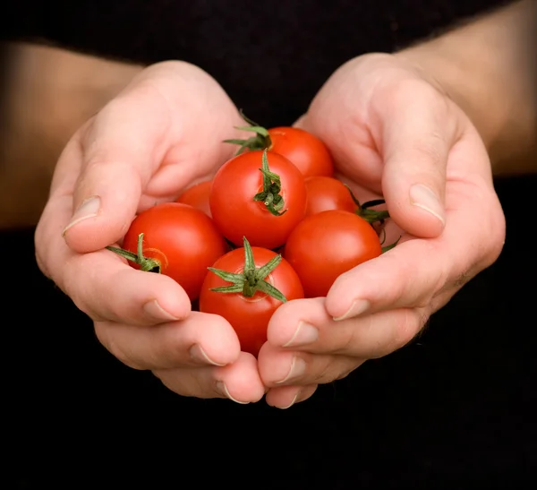 Mani con tomati di ciliegie — Foto Stock