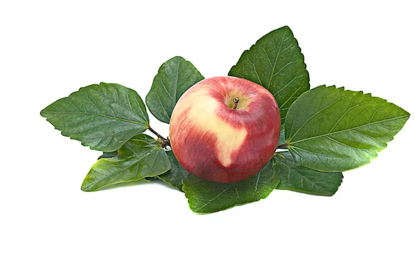 Roter Apfel auf Blättern — Stockfoto