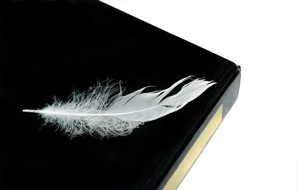 Белое перо на черной книге — стоковое фото