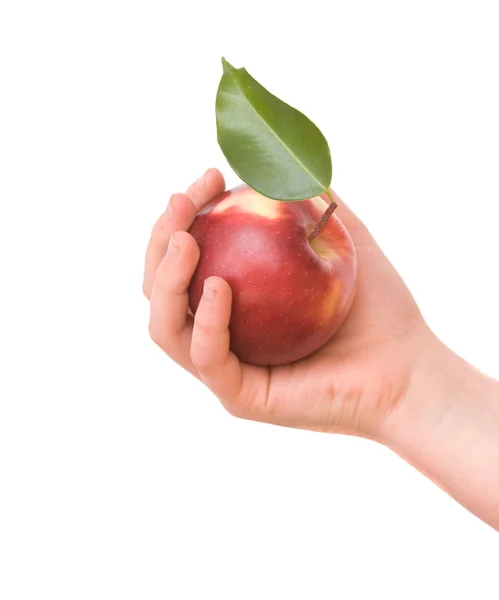 Kırmızı elma ile el — Stok fotoğraf