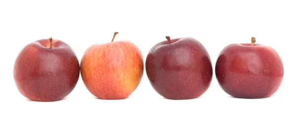 Vier rote Äpfel — Stockfoto