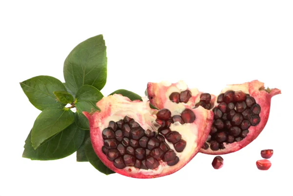 Pomegranate arils — Stock Photo, Image