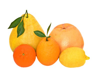 Pamelo, tangerines, grapefruit, lemon clipart