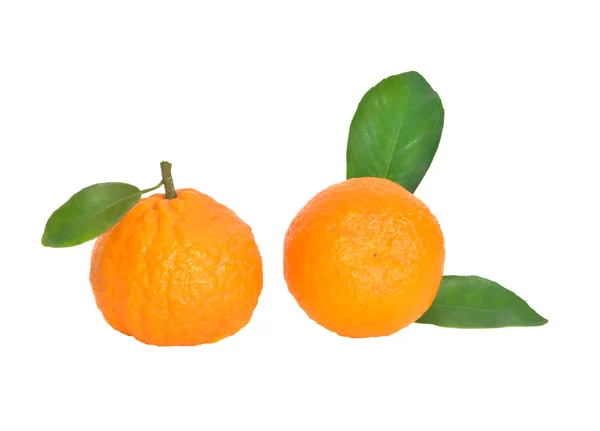 Mandarino isolata su sfondo bianco — Foto Stock
