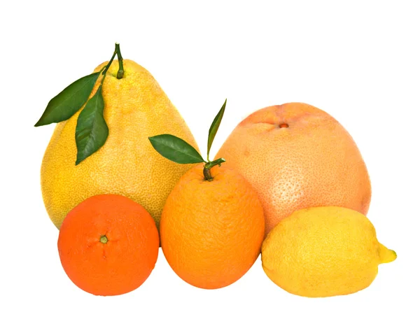 Pamelo, mandariner, grapefrukt, citron — Stockfoto