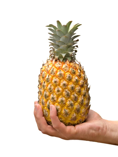 Presenteren rijp ananas — Stockfoto