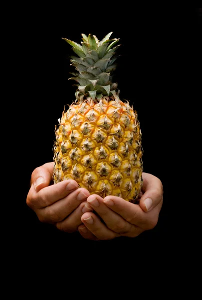 Presenteren rijp ananas — Stockfoto