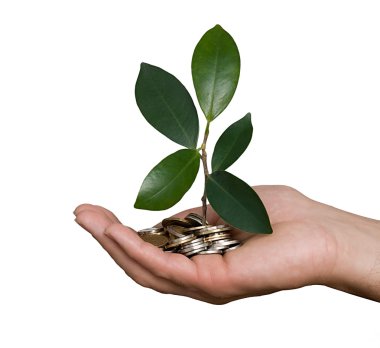 Palm with tree growng from pile of coins clipart