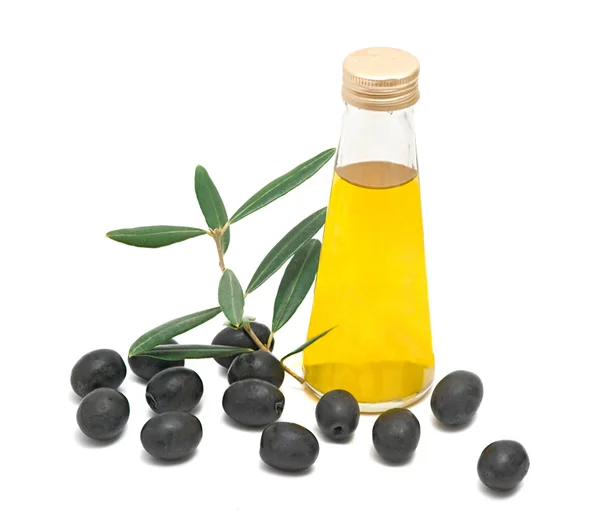Garrafa de azeite e ramo de oliveira — Fotografia de Stock