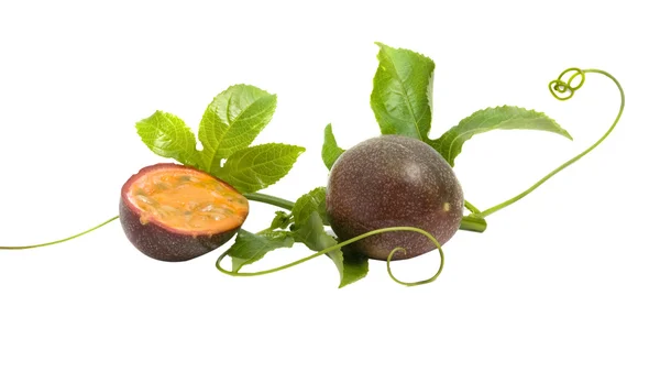 Fruta e videira da passiflora — Fotografia de Stock