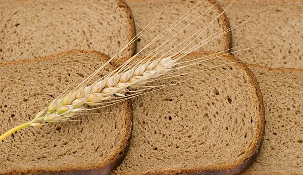 Layng kłos pszenicy na kromki chleba — Zdjęcie stockowe