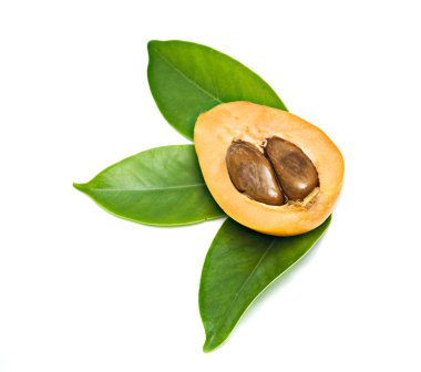 Section of loquat on leaves clipart