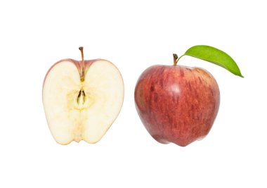 Apple and its cross-section clipart