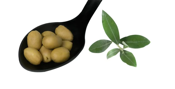 Fruits d'olive — Photo