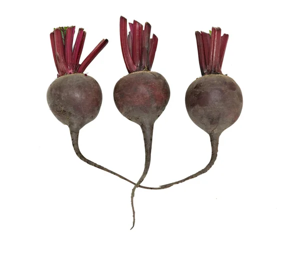 Drie beetroots — Stockfoto