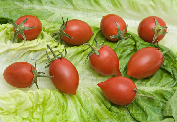 Pomidory na sałacie — Zdjęcie stockowe