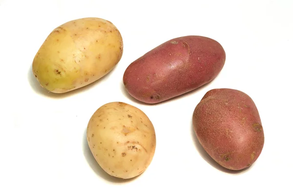 Čtyři brambory — Stock fotografie