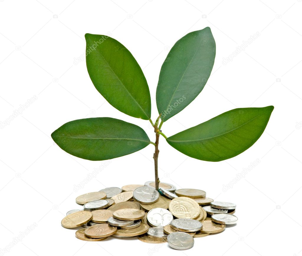 Tree growing from pile of coins