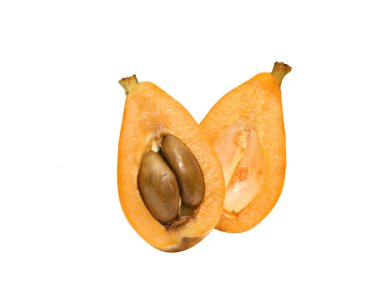 Sections of loquat clipart