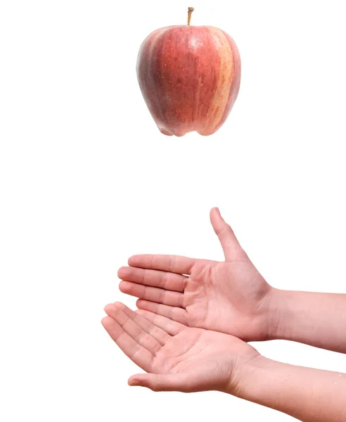 Apple falling to hands — Stock Photo, Image