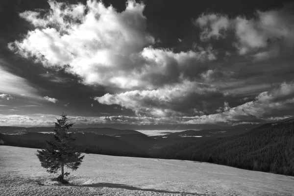 Black&white landscape — Stock Photo, Image