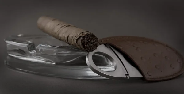 Lyxig cigarr — Stockfoto