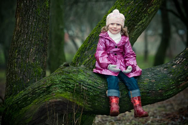 女孩坐在一棵树上 — 图库照片