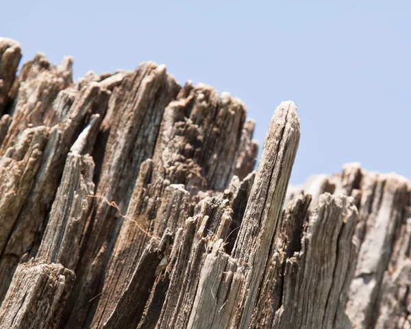 Kırık bir closeup kutup kapalı — Stok fotoğraf