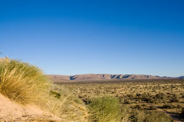 喀拉哈里沙漠沙丘 — 图库照片