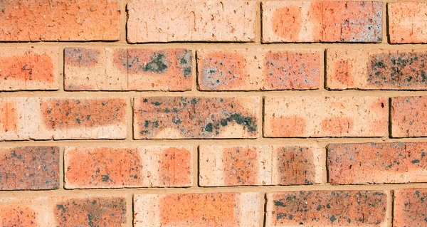 Close-up of a Brick wall — Stock Photo, Image