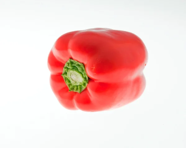 Red pepper isolated — Stock Photo, Image
