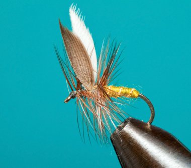 Invicta traditional trout fly clipart