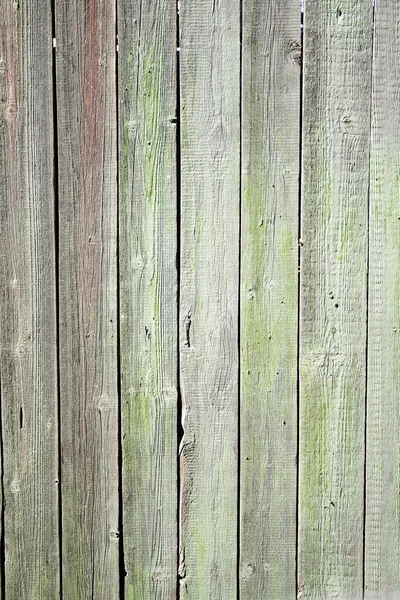 木製フェンス — ストック写真