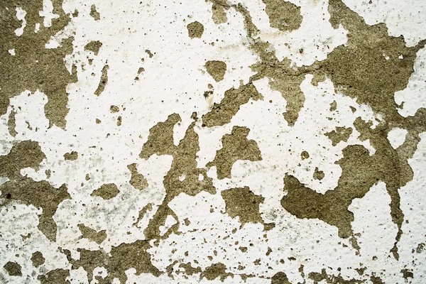水泥粉刷石膏 — 图库照片