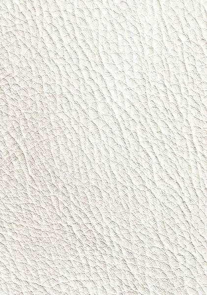 Leather White — Stock Photo, Image
