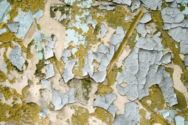 Cement a wall plaster — Stock Photo, Image