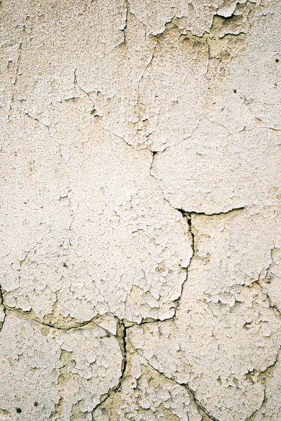 Cement een muur gips — Stockfoto