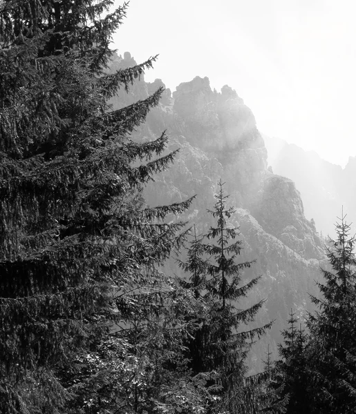 stock image Mountain